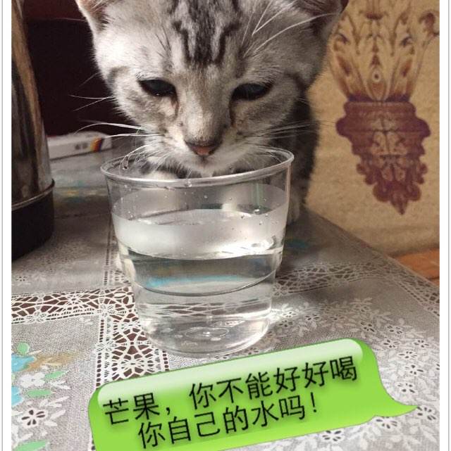 堪萨斯州地址证明真实样板
